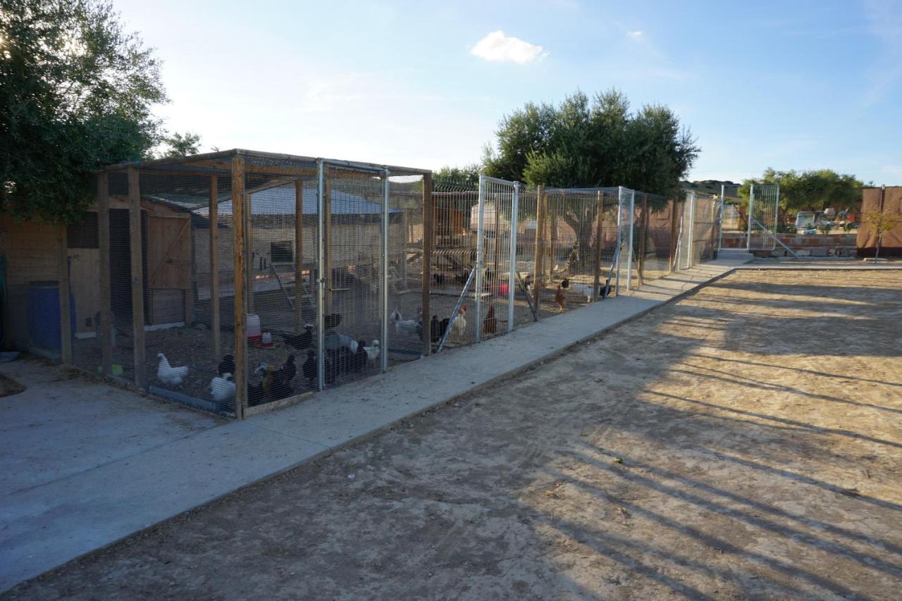 Cuchi Farm Villa Chinchon Bagian luar foto