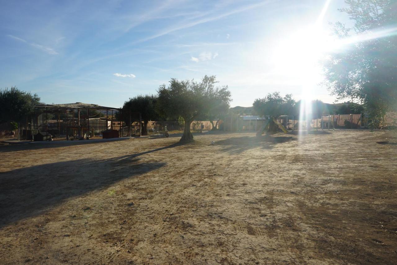Cuchi Farm Villa Chinchon Bagian luar foto