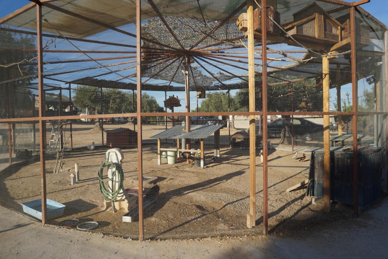 Cuchi Farm Villa Chinchon Bagian luar foto