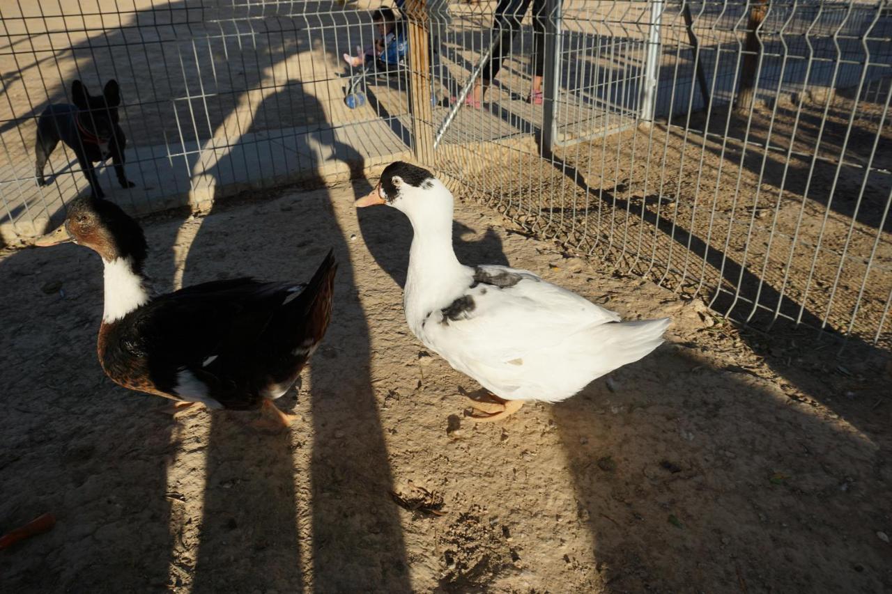 Cuchi Farm Villa Chinchon Bagian luar foto